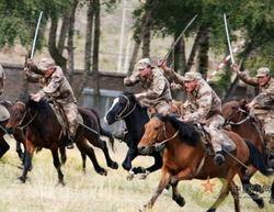骑兵连在线观看,重温经典战火岁月